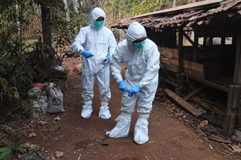 Berita ekonomi kemarin: Antraks, riset AI, hingga hilirisasi nikel