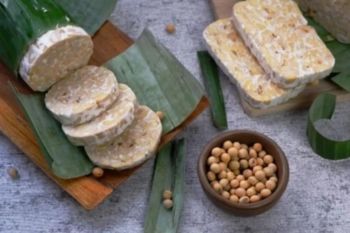 Opsi makanan kaya probiotik selain yoghurt, dari tempe hingga kimchi