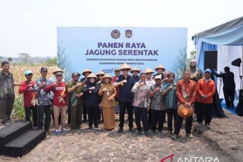 Cegah perdagangan orang, PIMPASA Imigrasi Yogyakarta gunakan strategi ketahanan pangan dan wayang kulit