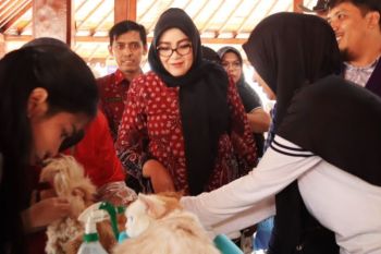 Banyumas menyiapkan 800 dosis vaksin rabies gratis cegah penularan