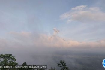 Gunung Semeru erupsi dengan tinggi letusan 900 meter