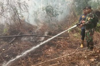 Hotspot di Kapuas melonjak, Mantangai tembus 504 titik