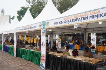 Kadin Mimika sebut UMKM kekuatan utama pembangunan ekonomi masyarakat