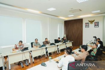Petani Sawit Kalimantan pelajari praktik budidaya berkelanjutan di Riau
