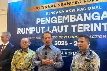 Indonesia turns to seaweed as strategic solution for food security