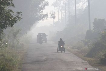 Kabut asap paksa Malaysia tutup sekolah
