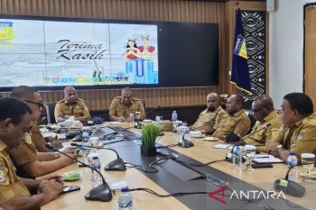 Gubernur Papua minta kepala daerah siapkan lahan pembangunan PLTS