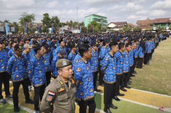 Pemkab Bantul tidak perpanjang kontrak 10 PPPK paruh waktu