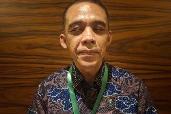 Indonesia to begin Giant Sea Wall project with mangroves
