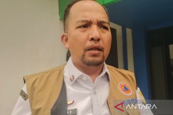BPBD: Ada 124 kebakaran lahan di Kota Jambi sejak Januari 2026