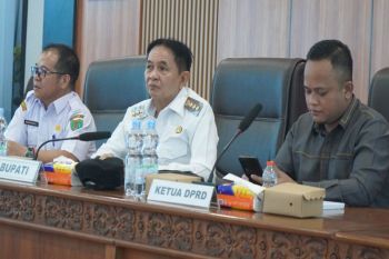 Bupati Bartim: RDTR harus menjawab kebutuhan masyarakat