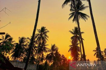 Puluhan perwakilan negara mulai berdatangan untuk ikuti World Coconut Day 2026 di Sulut