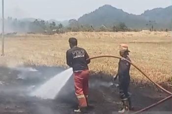 Otban imbau warga tidak bakar sampah sekitar Bandara Samrat Manado