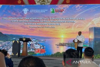 Downstreaming drives 30 percent of national investment: Danantara