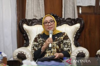 Indonesian minister urges stronger maternity and reproductive rights