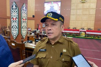 DPRD Palangka Raya minta dampak ekonomi karhutla diantisipasi