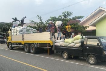Produksi beras di Abdya surplus 10 ribu ton, jari rebutan pedagang luar daerah