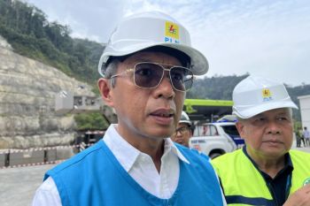PLTA Batang Toru krusial untuk topang kelistrikan Sumbagut