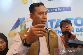 Bulog gelontorkan 300 ribu ton beras premium, jaga stabilitas harga