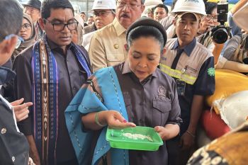 DPR RI tegaskan stabilitas pangan daerah di tengah dinamika global jadi keharusan mutlak