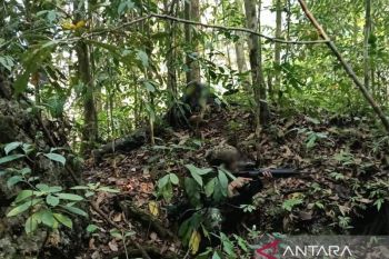 TNI neutralizes armed separatists in Southwest Papua clash