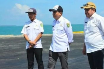 Gasifikasi batu bara di Kutim buka peluang investasi Rp30 triliun