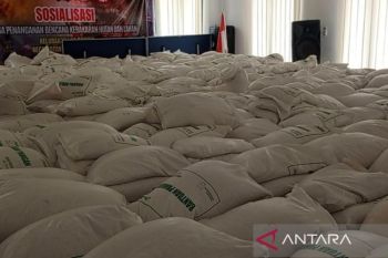Bulog Samarinda realisasikan pengadaan 18.422 ton gabah beras lokal
