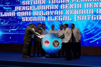 Indonesia activates task force to combat lobster seed smuggling