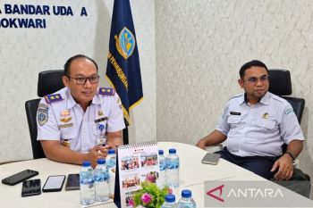 Smoke disrupts Manokwari flights, safety takes priority: official