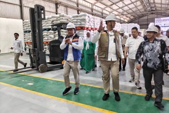 Dirut Bulog pastikan cadangan beras aman di tengah ancaman El Nino