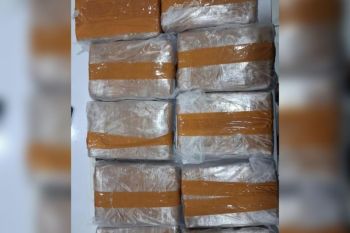 Polda Banten gagalkan peredaran 11 kg ganja dengan modus ekspedisi