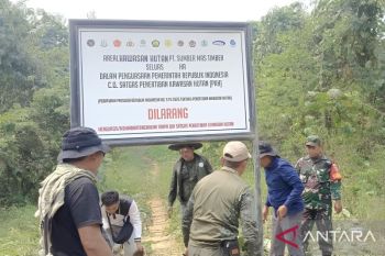 Two years of Satgas PKH: Reclaiming state control over forests