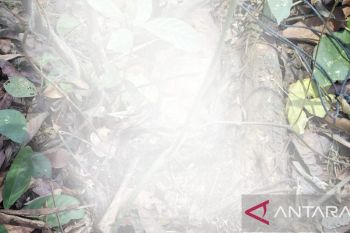 Polisi selidiki identitas mayat di Cibeber-Cianjur