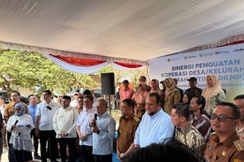 Buka peluang usaha, PLN perkuat dukungan program KDKMP melalui kolaborasi layanan kelistrikan