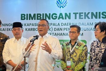 Menteri LH: Semua kekuatan sedang bekerja padamkan karhutla