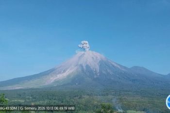 Abu letusan Semeru membumbung hingga 900 meter
