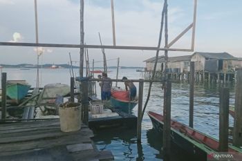 Penajam tawarkan pengolahan ikan kepada investor bangun hilirisasi