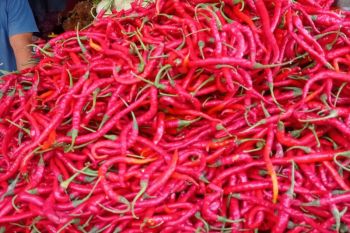 Harga cabai merah hingga daging unggas di Lebak turun Rp5.000/kg