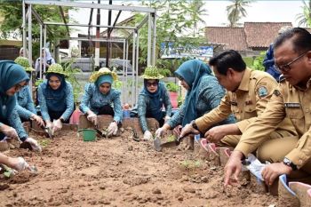 Ketua TP PKK Lampung apresiasi program Teras HELAU Lampung Selatan