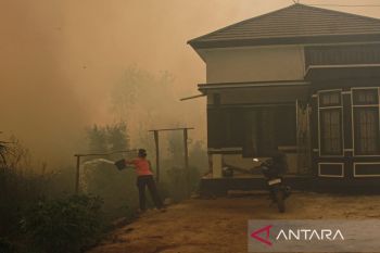 Karhutla di Palangka Raya meluas
