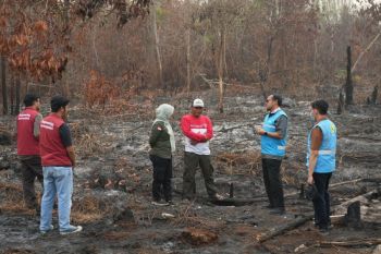 PLN perkuat sarana mitigasi karhutla di Kalimantan Tengah