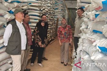Pemkab Cianjur memastikan stok pupuk subsidi aman sampai Maret 2027