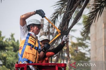 Pemkot Bogor kebut penurunan kabel udara sepanjang 11 kilometer