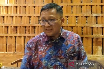 Indonesia eyes rare earth minerals partnership with Gabon