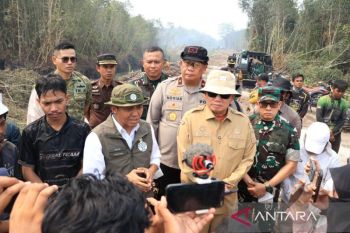 Indonesia maps four wildfire fronts in Tanjung Puting