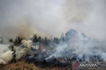 South Kalimantan reports 4,926 fires affecting 27,203 hectares
