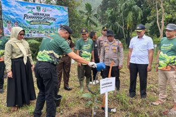 KKI Warsi-Dishut Sumbar percepat rehabilitasi hutan lewat tanam pohon