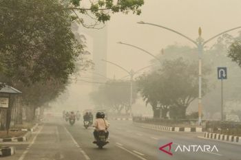 OJK Kalteng: Potensi klaim asuransi jadi salah satu mitigasi risiko kredit terdampak karhutla