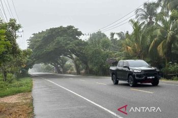 Asap selimuti Aceh Timur