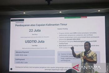 Provinsi Kaltim atur jalur penyaluran dana karbon Rp1,47 triliun